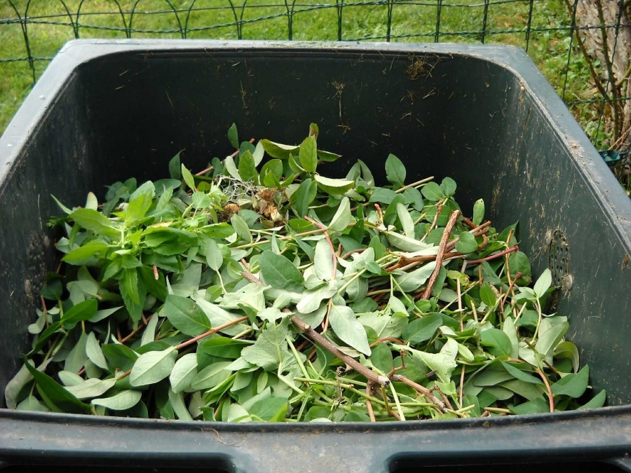 Recylagepark Nieuwkerken heropent vanaf 7 april Recylagepark Nieuwkerken heropent vanaf 7 april