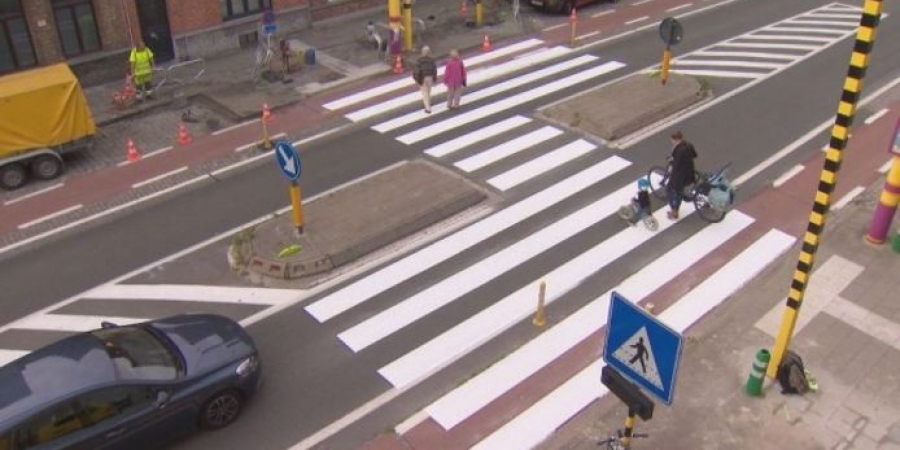 Gevleugelde zebrapaden Gevleugelde zebrapaden