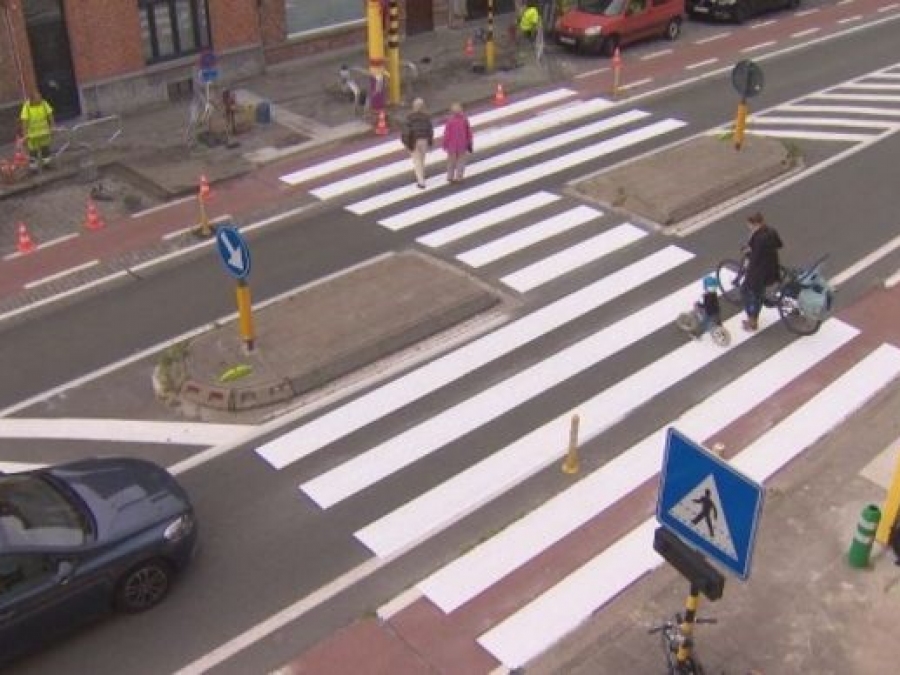 Gevleugelde zebrapaden Gevleugelde zebrapaden